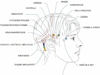 access bar metoda – schéma hlavy a bodů pro terapii