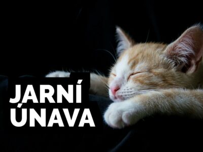 JARNÍ ÚNAVA